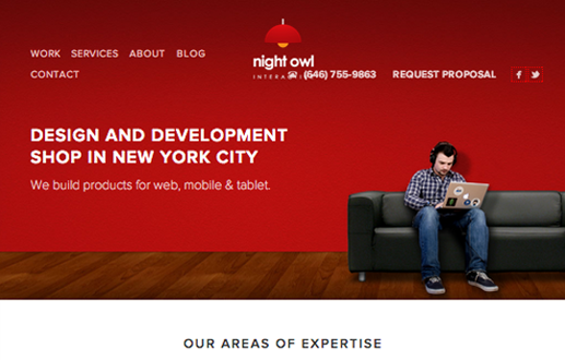 Night Owl Interactive